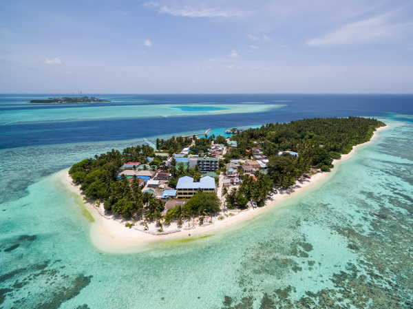 FII Maldives Freediving Camp 2026 camp